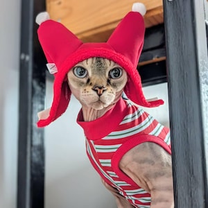 Gorro de invierno para gatos Sphynx y gatos pequeños - Edición especial Navidad con pompones - Gorro - Consultar dimensiones antes de comprar
