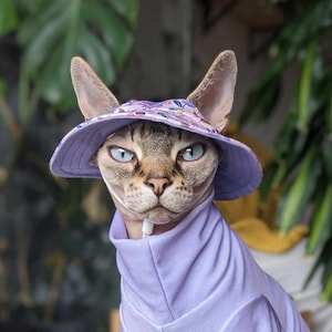 Peut inclure: Un chat Sphynx porte un chapeau de soleil lavande avec un motif floral et un sweat à capuche lavande assorti. Le chat a des yeux bleus perçants et regarde directement l'appareil photo. L'arrière-plan est flou avec du feuillage vert.