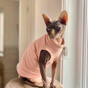Puede incluir: Un gato Sphynx sin pelo con una camiseta rosa claro está sentado en un árbol para gatos redondo y afelpado. El gato tiene la piel gris y bronceada y mira hacia un lado. El árbol para gatos es de color beige neutro.