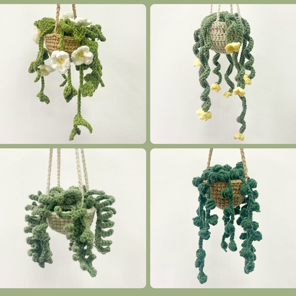 Hanging Plant Etsy