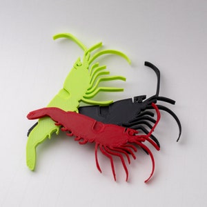 Caradina Shrimp - Large