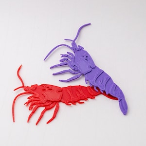 Caradina Shrimp - Small