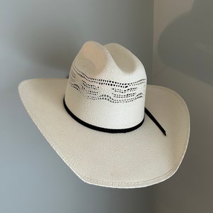 horse shoe hat rack