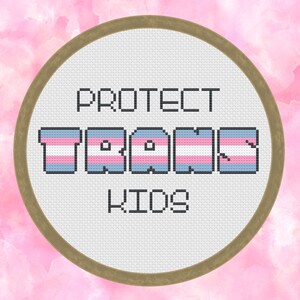 May include: A white embroidery hoop with the text "PROTECT TRANS KIDS" in black thread. The word "TRANS" is in blue, pink, and white thread, resembling the transgender pride flag.