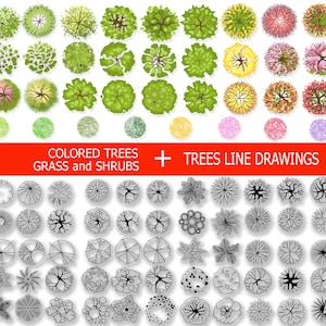 Landschaft Baum Ansicht: PNG Illustrationen für Architektur (Digitaler Download)