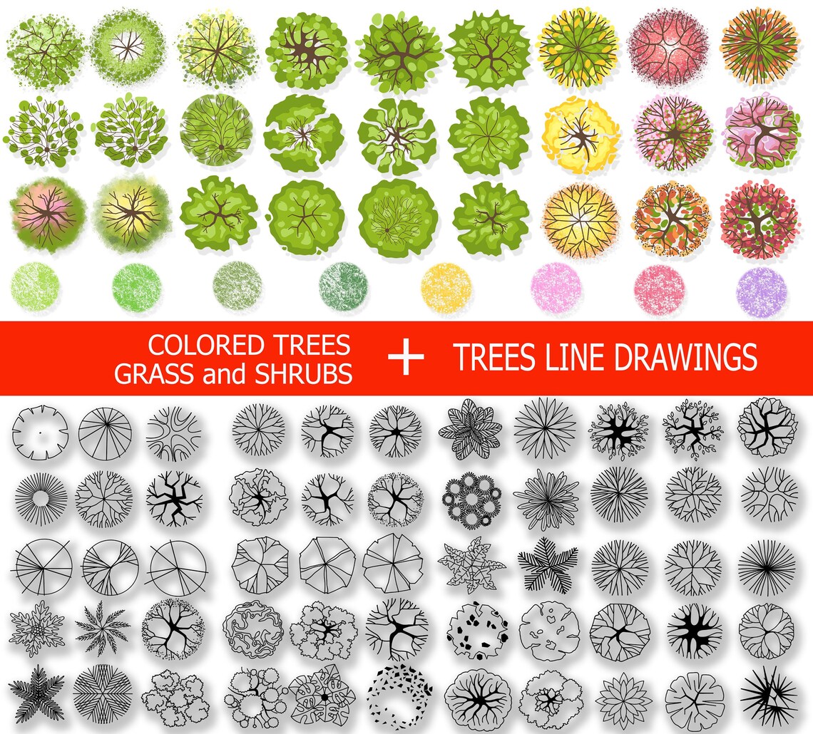Landscape Tree Plan View: PNG Illustrations for Architecture (digital ...