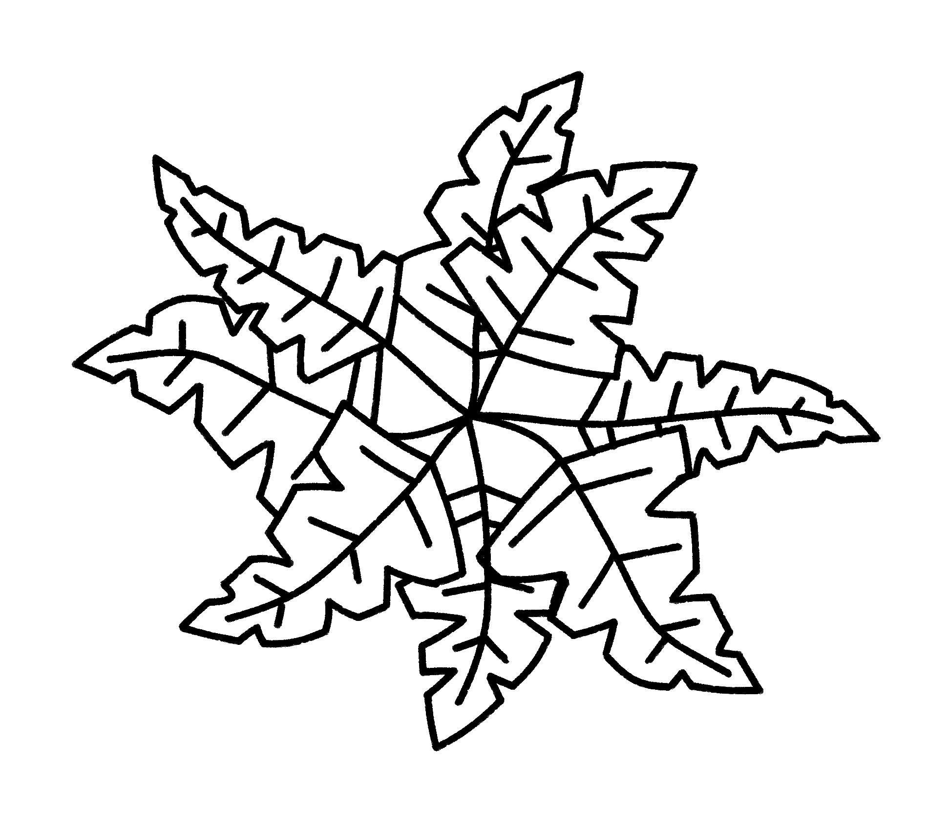 Tree Plan Line Drawings: Landscape Design Templates (digital Download ...