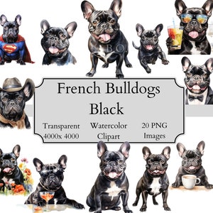 20 arquivos PNG de clipart aquarela de buldogue francês fofo, arquivo digital de clipart de buldogue francês transparente, clipart de buldogue francês preto PNG