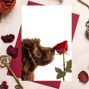 Doodle doré au chocolat, carte Goldendoodle, carte de la Saint-Valentin, carte de la Saint-Valentin Goldendoodle, carte pour propriétaire de chien, carte Doodle