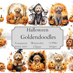 12 Halloween Goldendoodle Aquarelle Clipart PNG Fichiers, Transparent Goldendoodle Clipart Fichier numérique, doodle Art, Goldendoodle Clipart PNG