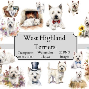 20 file PNG Clipart dell'acquerello di West Highland Terrier carino, File digitale Clipart trasparente di West Highland Terrier, West Highland Terrier