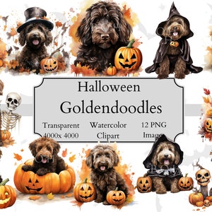 12 file PNG di Halloween Goldendoodle acquerello Clipart, Goldendoodle trasparente, arte doodle, cioccolato Goldendoodle Clipart PNG