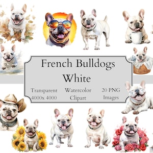 20 arquivos PNG de clipart de aquarela de buldogue francês fofo, arquivo digital de clipart de buldogue francês transparente, clipart de buldogue francês branco PNG