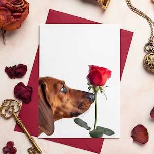 Dackel Valentinstagskarte | Dackel-Jubiläumskarte | Wursthund Valentinstagskarte | Dackel Valentinstag | Wurst-Hund-Karte