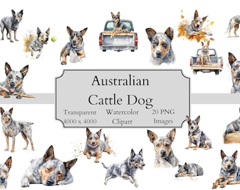 20 Cute Australian Cattle Dog Watercolor Clipart PNG Files, Transparent cattle dog Clipart Digital File, Australian Cattle Dog Clipart PNG