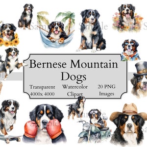 20 süße Berner Sennenhund Aquarell Clipart PNG-Dateien, Transparente Berner Sennenhund Digitale Datei, Berner Sennenhund Clipart PNG