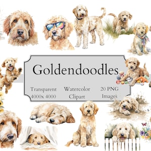 20 arquivos PNG de clipart aquarela Goldendoodle fofo, arquivo digital de clipart Goldendoodle transparente, arte de doodle, clipart PNG de Goldendoodle