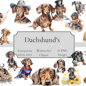 20 Cute Dachshund Watercolor Clipart PNG Files, Transparent Dachshund Clipart Digital File, Dachshund Clipart PNG