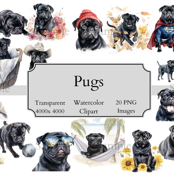 20 Cute Black Pug Watercolor Clipart PNG Files, Transparent Pugs Clipart Digital File, Pug, Pug Digital Images, Adorable Pug, Pug Prints