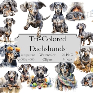 20 lindos archivos PNG de imágenes prediseñadas de acuarela Dachshund de tres colores, archivo digital de imágenes prediseñadas de Dachshund transparente, Dachshund Clipart PNG,