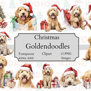 12 Weihnachten Goldendoodle Aquarell Clipart PNG-Dateien, Transparente Goldendoodle Clipart Digitale Datei, Gekritzelkunst, Goldendoodle Clipart PNG