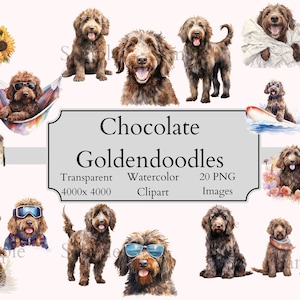 20 lindos archivos PNG de imágenes prediseñadas de acuarela Goldendoodle de chocolate, archivo digital de imágenes prediseñadas de garabato transparente, arte de garabato, imágenes prediseñadas de Goldendoodle PNG
