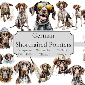 20 Cute German Shorthaired Pointer Watercolor Clipart PNG Files, Transparent German Shorthaired Pointers Clipart Digital Files