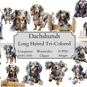 20 süße dreifarbige Dackel Aquarell Clipart PNG-Dateien, transparente Dackel Clipart digitale Datei, Dackel Clipart PNG,