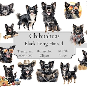 20 süße Chihuahua Aquarell Clipart PNG-Dateien, langhaarige Chihuahua, transparente Chihuahua Clipart digitale Datei, Chihuahua Clipart PNG