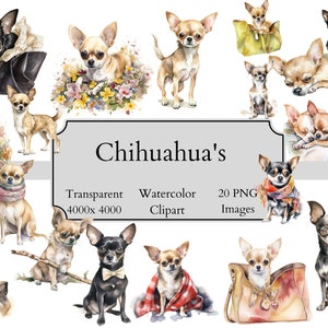 20 Cute Chihuahua Watercolor Clipart PNG Files, Transparent Chihuahua Clipart Digital File, Chihuahua Clipart PNG