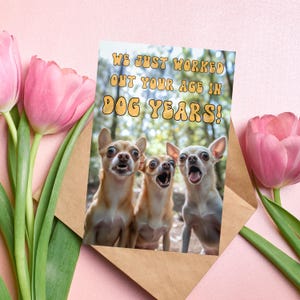Chihuahua birthday card, chihuahua greeting card, chihuahua card, greeting card, chihuahua, chihuahua birthday, funny chihuahua card