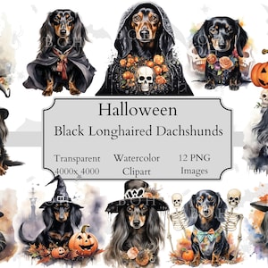 12 Halloween Themed Dachshund Watercolor Clipart PNG Files, Transparent Dachshund Clipart Digital File, Dachshund Clipart PNG, Dachshund