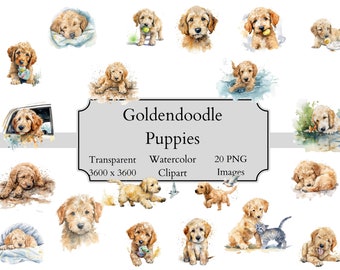 20 Cute Goldendoodle Watercolor Puppies Clipart PNG Files, Transparent Doodle Clipart Digital File, doodle Art, Goldendoodle Clipart PNG