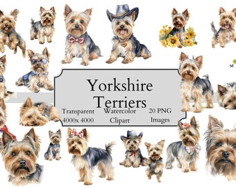 20 file PNG Clipart dell'acquerello carino Yorkshire Terrier, file digitali Clipart trasparenti Yorkshire Terrier, Yorkshire Terrier Clipart PNG