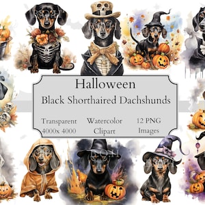 12 Halloween-Thema Dackel Aquarell Clipart PNG-Dateien, Transparente Dackel Clipart Digitale Datei, Dackel Clipart PNG, Dackel