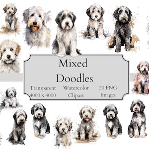 20 lindos archivos PNG de imágenes prediseñadas de cachorros de acuarela Goldendoodle mixtos, archivo digital de imágenes prediseñadas de garabatos transparentes, arte de garabatos, imágenes prediseñadas de Goldendoodle