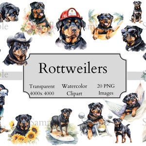 20 Cute Rottweiler Watercolor Clipart PNG Files, Transparent Rottweiler Clipart Digital File, Rottweiler Clipart PNG, Rottweiler