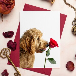 Goldendoodle Karte, Valentinstag Hundekarte, Valentinstagskarte, Goldendoodle Valentinstag Karte, Karte für Hundebesitzer, Doodle Karte