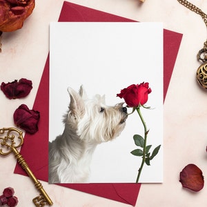 Karta walentynkowa Westie, Karta rocznicowa psa, West Highland Terrier, Walentynkowy pies, Karta rocznicowa Westie, Karta z pozdrowieniami Westie