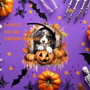 12 Cute Halloween Bernedoodle Watercolor Clipart PNG Files, Transparent ...