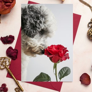 Goldendoodle Karte, Valentinstag Hundekarte, Valentinstag Karte, Goldendoodle Valentinstag Karte, Karte für Hundebesitzer, Mixed farbiges Doodle