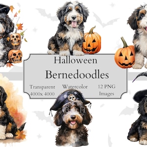 12 Cute Halloween Bernedoodle Watercolor Clipart PNG Files, Transparent ...
