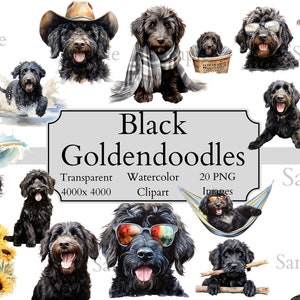 20 süße schwarze Goldendoodle Aquarell Clipart PNG-Dateien, transparente Doodle Clipart digitale Datei, Doodle Art, Goldendoodle Clipart PNG