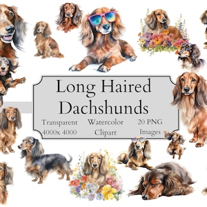 20 süße langhaarige Dackel Aquarell Clipart PNG-Dateien, transparente langhaarige Dackel Clipart digitale Datei, Dackel Clipart PNG
