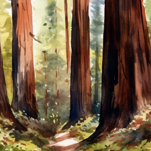 Redwood National Park Print, Redwood Watercolor Art Decor, National Park Poster, California Watercolor Wall Art, Redwood Trees Painting