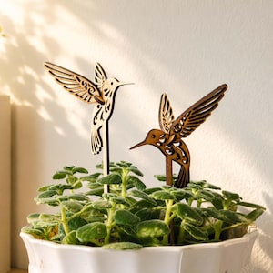 Op de afbeelding: Twee houten kolibrie plantenprikkers. Eén is lichtgekleurd, de andere is bruin. Beide hebben ingewikkelde vleugelontwerpen en zijn geplaatst in een witte pot gevuld met groene planten. De kolibries kijken verschillende kanten op.