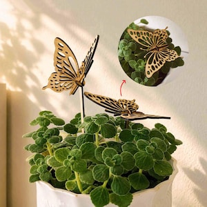May include: Wooden butterfly garden stakes in a white pot with green plants. The butterflies are light brown with intricate cut-out wing designs. One butterfly is in a close-up view. The stakes are on black sticks.
