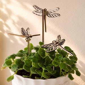May include: Three laser-cut wooden dragonfly plant stakes in varying heights and positions. Each dragonfly features intricate wing cutouts with dark brown edges and a light wood center, mounted on thin vertical wooden sticks for garden decor.