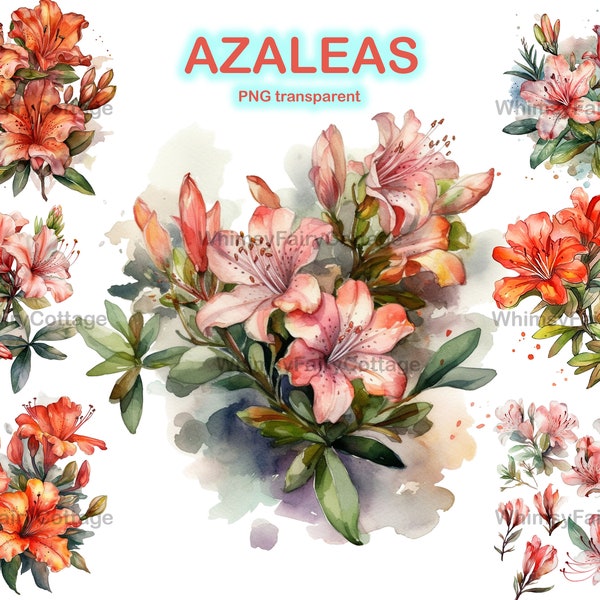 Azaleas clipart png, pink and red orange flowers for scrapbooking background junk journaling borders cardmaking floral elements digital art