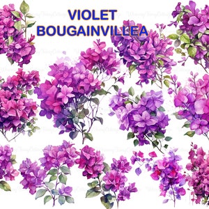 Violette bougainvillea clipart png transparant, paarse bloemenrand png scrapbooking achtergrond bloemen randelementen png kaartmaken bloem